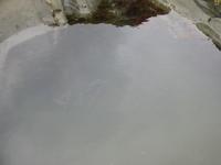 There are fish in there, really!