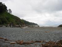 Image IMG_4296.JPG