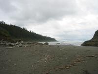 Image IMG_4303.JPG