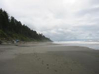 Image IMG_4314.JPG