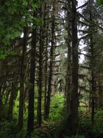 Image IMG_4337.JPG