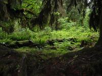 Image IMG_4341.JPG