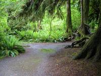 Image IMG_4342.JPG