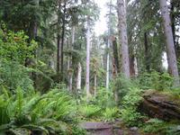 Image IMG_4348.JPG