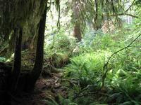 Image IMG_4349.JPG