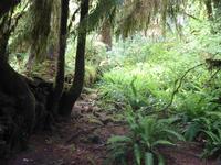 Image IMG_4350.JPG