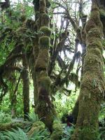 Image IMG_4352.JPG