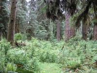 Image IMG_4360.JPG