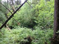 Image IMG_4365.JPG
