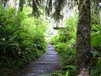 Image IMG_4368.JPG