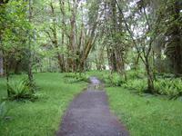 Image IMG_4373.JPG