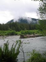 Image IMG_4375.JPG