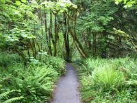 Image IMG_4386.JPG