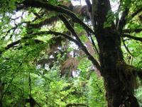 Image IMG_4394.JPG
